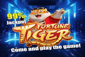 LVV66 Myanmar Online Gaming Platform Live Casino Slots Betting မြန်မာ ကစားသမားများ မြင်ကွင်း